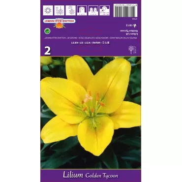 LA ljiljan Golden Tycoon