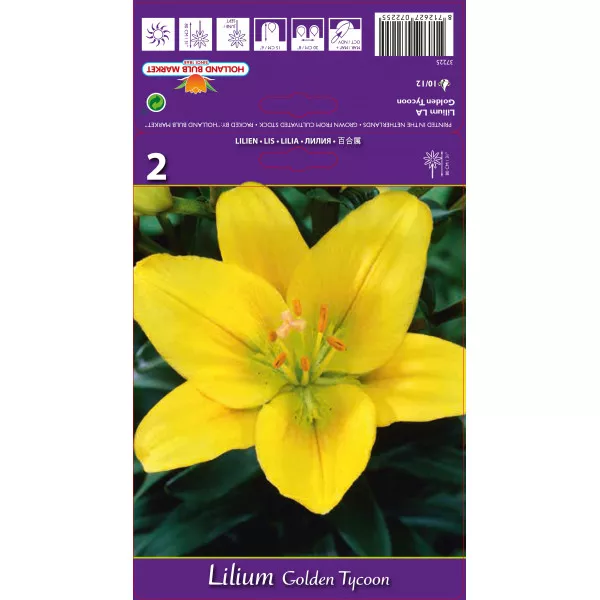 LA ljiljan Golden Tycoon