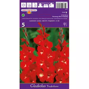 Gladiole Traderhorn lukovice