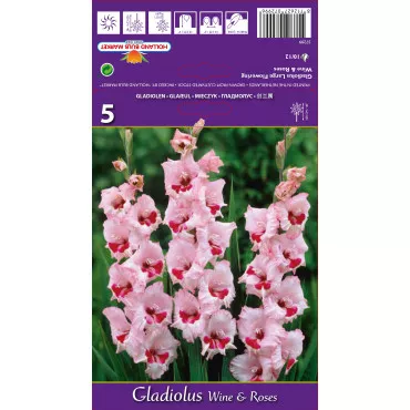 Gladiole Wine and Roses lukovice