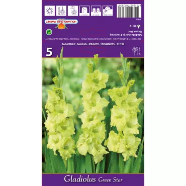Gladiole Green Star lukovice