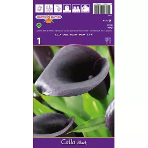Kala crna