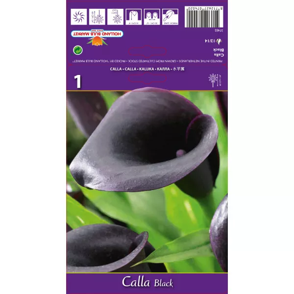 Kala crna