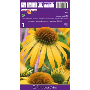 Echinacea žuta