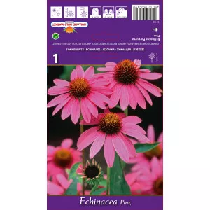 Echinacea ružičasta