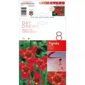 Tigridija crvena