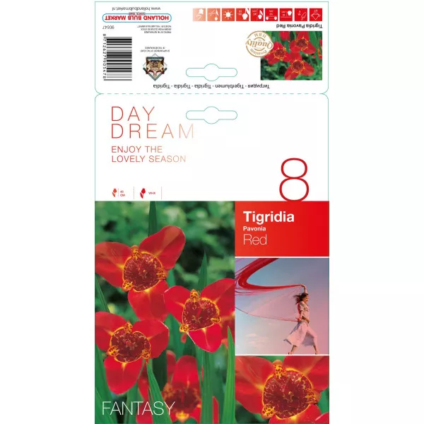 Tigridija crvena