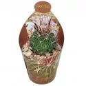 Mozgasti kaktus (Echinofossulocactus multicostatus) u tegli Ø 6,5 cm