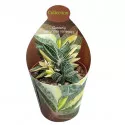 Gasteria (Gasteria verrucosa variegata) u tegli Ø 6,5 cm