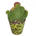 Kaktus (Opuntia microdasys undulata) u tegli Ø 6,5 cm