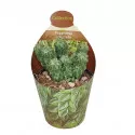 Peperomija (Peperomia columella) u tegli Ø 6,5 cm