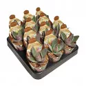 Drvo novca Garnet Lotus (Crassula) u tegli Ø 6,5 cm