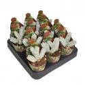 Drvo novca Deceptor (Crassula) u tegli Ø 6,5 cm