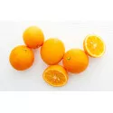 Gorka naranča (Citrus × aurantium)