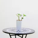 Ruže polyantha Rumba – u saksiji 2L