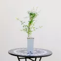 Zimski jasmin