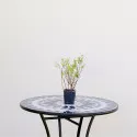 Spiraea cinerea Grefsheim