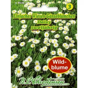 Sjeme tratinčice Daisy
