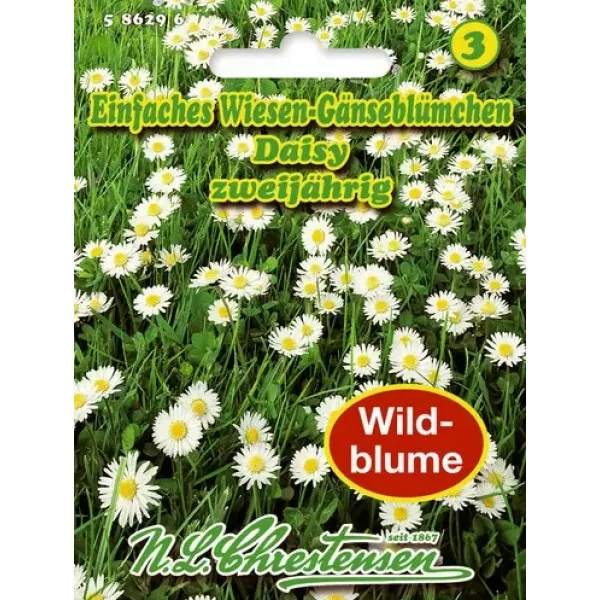 Sjeme tratinčice Daisy Sjeme tratinčice Daisy
