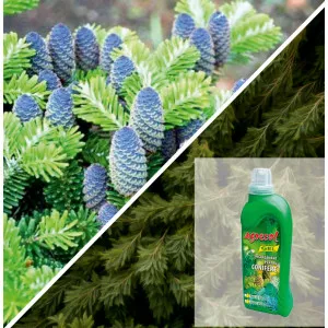 Paket korejska jela i gel gnojivo