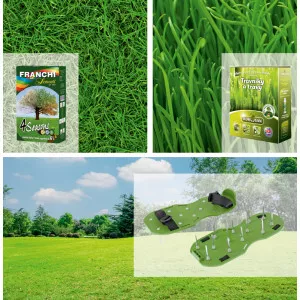 Paket savršeni travnjak: sjeme 4 Seasons, aerator i bio gnojivo