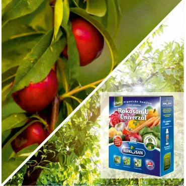 Paket Urbana voćka: stupasta nektarina Aeris & bio gnojivo