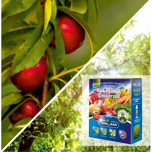 Paket Urbana voćka: stupasta nektarina Aeris & bio gnojivo