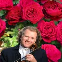 Čajevka ruža André Rieu ® u tegli 3 L