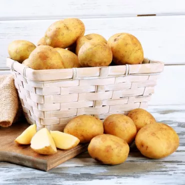 Sjemenski krumpir Agria