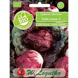 Sjeme crvene cikorije (radicchio) Palla Rossa