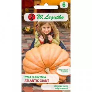 Sjeme divovske bundeve Atlantic Giant