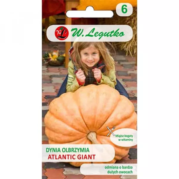 Sjeme divovske bundeve Atlantic Giant