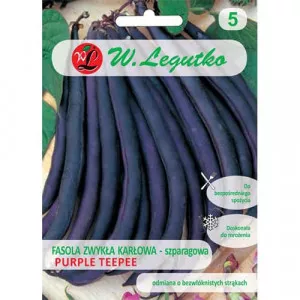 Sjeme graha Purple Teepee