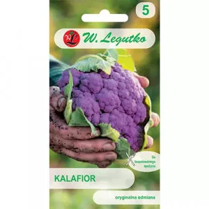 Sjeme cvjetače di Sicilia Violetto