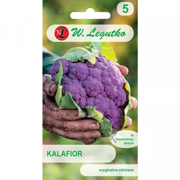 Sjeme cvjetače di Sicilia Violetto