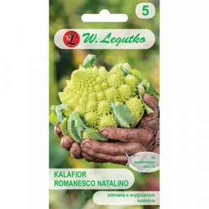 Sjeme cvjetače Romanesco