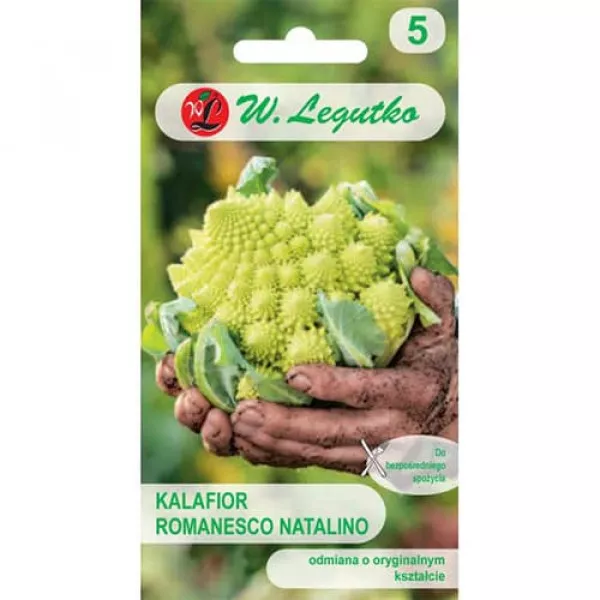 Sjeme cvjetače Romanesco