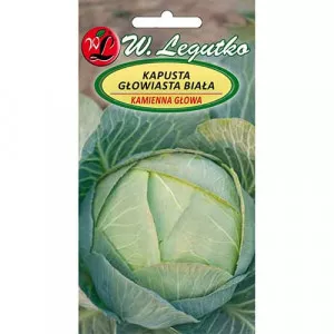Sjeme kupusa Kamienna Głowa 2
