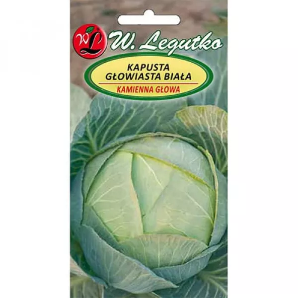 Sjeme kupusa Kamienna Głowa 2
