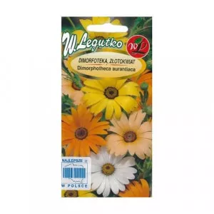 Sjeme afričke tratinčice Summertime Mix