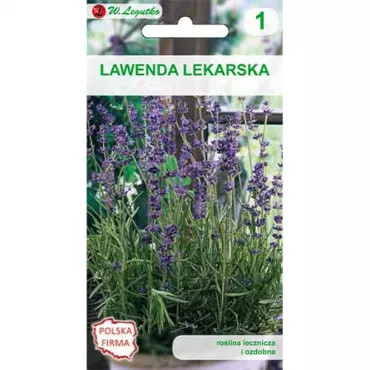 Sjeme lavande