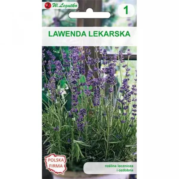 Sjeme lavande