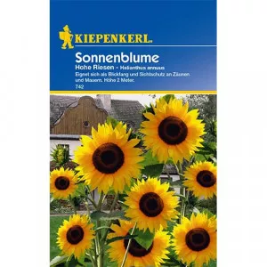 Sjeme ukrasnog suncokreta Hohe Riesen