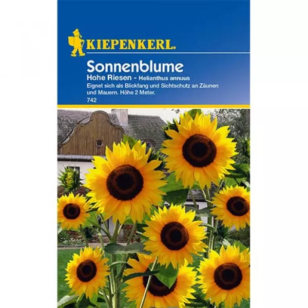 Sjeme ukrasnog suncokreta Hohe Riesen