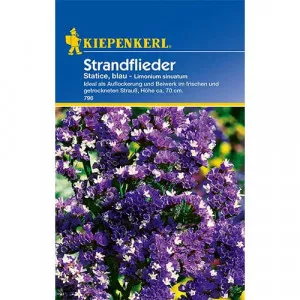 Sjeme Limonium sinuatum (statice) plavo