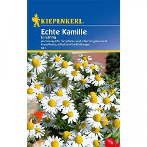 Sjeme jednogodišnje kamilice Echte