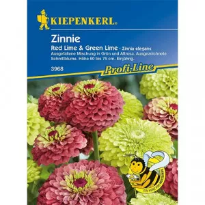 Sjeme cinije Red & Green Lime