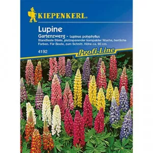 Sjeme patuljaste vrtne lupine