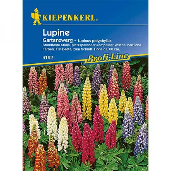 Sjeme patuljaste vrtne lupine