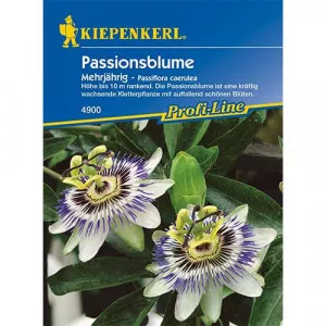 Sjeme pasiflore (Passiflora)